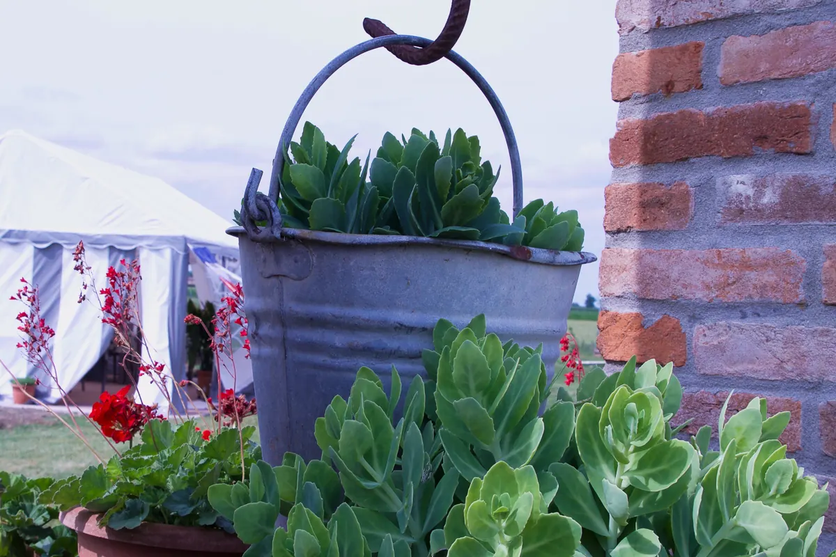 Il pozzo e i fiori con il gazebo